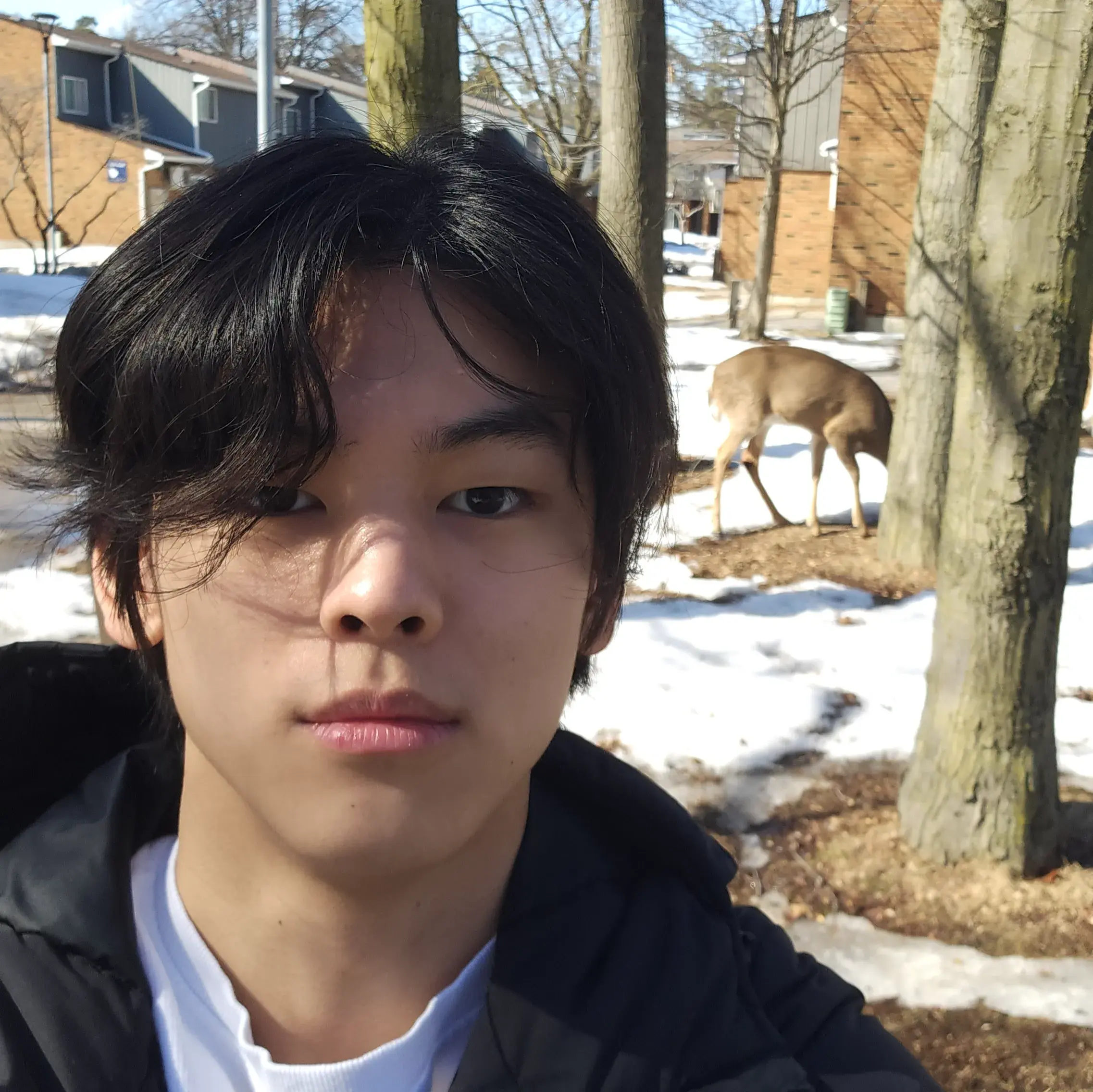 Tony Park